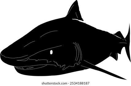 A silhouette of a Tiger Shark 