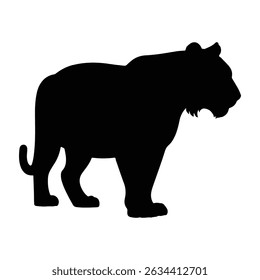 Silhouette of a tiger standing in profile with its tail curled and a solid black fill on a white background