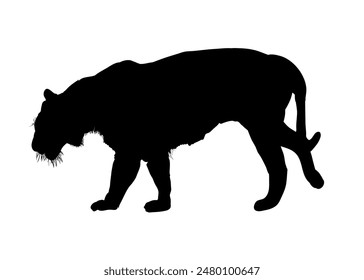 silueta de un tigre - Ilustración vectorial