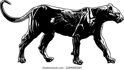 "Silhouette of tiger walking in the jungle"
"Line art vector illustration of tiger" "Line art vector illustration of tiger standing on hind legs"