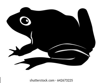 250 Cane toad illustration Images, Stock Photos & Vectors | Shutterstock