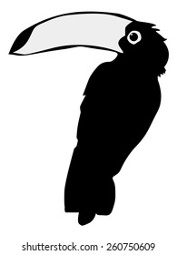 silhouette of toucan