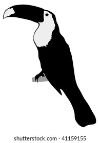 silhouette of toucan