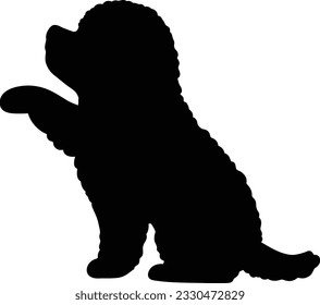 Silhouette of Toy Poodle shaking hands