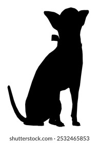 Silhouette Toy Terrier Pequeña raza de perro. Ilustración moderna para pegatinas, bordados, insignias. Ilustración vectorial