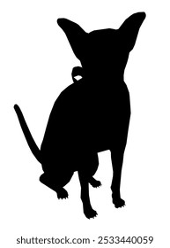 Silhouette Toy Terrier pequena raça de cão. Ilustração moderna para adesivos, bordados, crachás. Ilustração vetorial