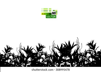 Silhouette trace leaves background. Vector