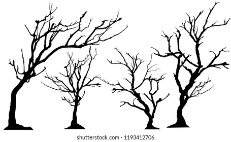 Silhouette of Tree