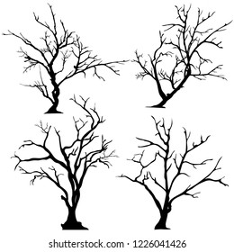 Silhouette of Tree