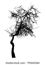 Silhouette of a tree