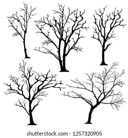 Silhouette of Tree 4