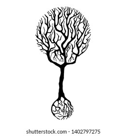 Silhouette of tree with abstract crown - Vector