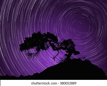 Silhouette of tree against night sky with aurora and startrails around Polaris star. Vector Illustration.