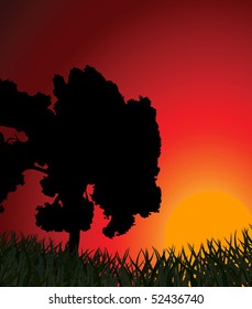 Silhouette of a tree against a sunset. Vector illustration