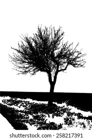 Silhouette of tree with bare branches along a road with field afar - nature scenery - landscape and black space - isolated - vector