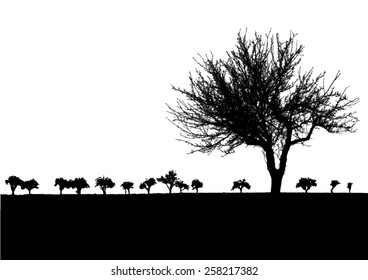 Silhouette of tree with bare branches - nature scenery - trees afar- landscape and black space for text - isolated - vector