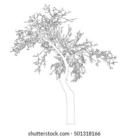 Silhouette Tree Bare Branches Outlines Vector Stock Vector (Royalty ...