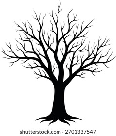 Silhouette of tree. Bare branches of a tree with trunk and root.