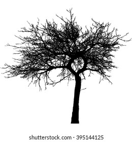 Silhouette of tree with bare branches -vector