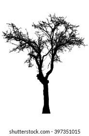 Silhouette of tree with bare branches - vector