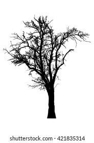 Silhouette of tree with bare branches -vector