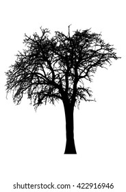 Silhouette of tree with bare branches -vector