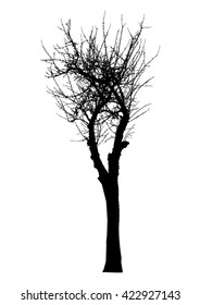 Silhouette of tree with bare branches -vector