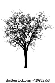 Silhouette of tree with bare branches -vector