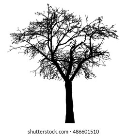Silhouette of tree with bare branches - vector