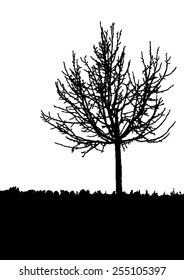 Silhouette of tree with bare branches - winter scenery - trees afar- landscape and black space for text - isolated - vector