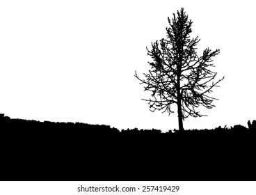 Silhouette of tree with bare branches - winter scenery - trees afar- landscape and black space for text - isolated - vector