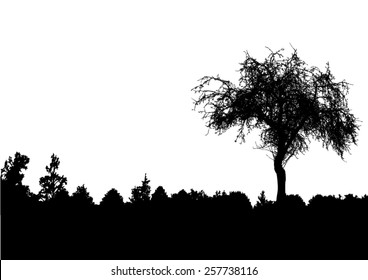 Silhouette of tree with bare branches - winter scenery - trees afar- landscape and black space for text - isolated - vector
