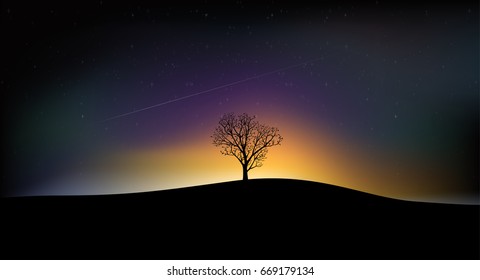 Silhouette of the Tree, Beautiful night sky with a lot of shiny stars, natural background.
