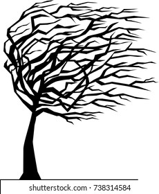 Silhouette of tree bent by the wind