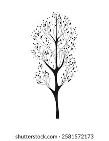 The silhouette of a tree. Birch tree. Vector. Plan. Landscape design