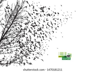The silhouette of a tree with birds flying. Vector illustration