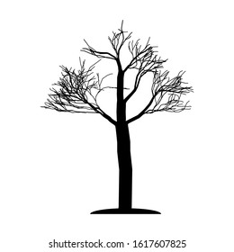 The silhouette of the tree is black without leaves. A lone tree with bare branches. Old tree.Vector illustration