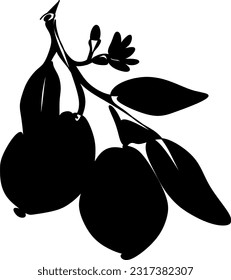 Silhouette of a tree branch with fruits hanging on