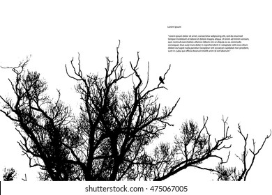 Silhouette of tree branches against the sky on them sat a bird of prey. Vector illustration EPS10.