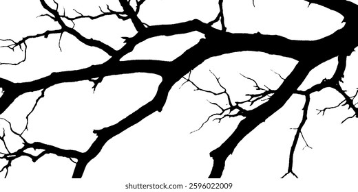 Silhouette of tree branches against a white background, showcasing intricate patterns and textures of the twigs and limbs.