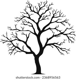 Silhouette of a tree, branches. Vector illustration