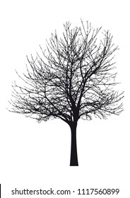 Silhouette of tree with branches,  winter scenery