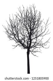 4,947 Bare tree line drawing Images, Stock Photos & Vectors | Shutterstock