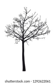 Silhouette of tree with branches, winter scenery vector