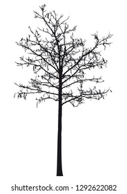 Silhouette of tree with branches, winter scenery vector