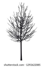 Silhouette of tree with branches, winter scenery vector