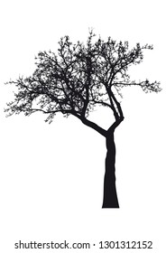 Silhouette of tree with branches, winter scenery vector