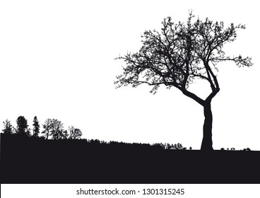 Silhouette of tree with branches, winter scenery vector