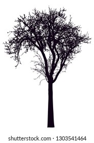 Silhouette of tree with branches, winter scenery vector