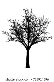 Silhouette of tree with branches,  winter scenery vector